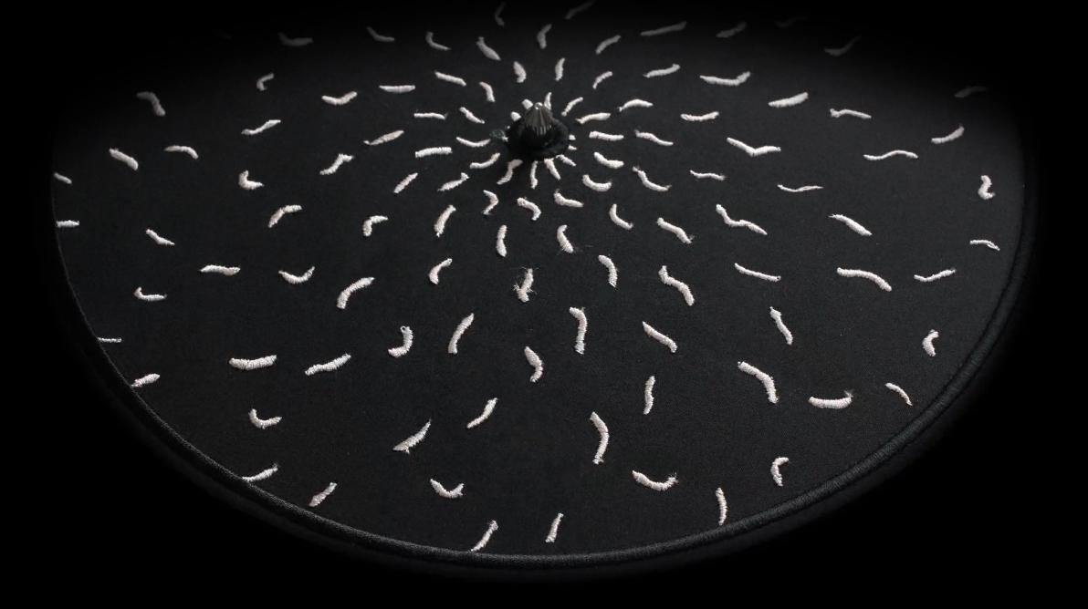 Embroidered Zoetrope_08.jpg